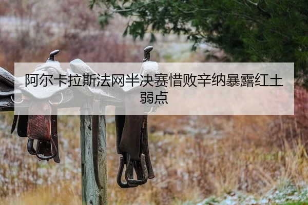a-er-ka-la-si-fa-wang-ban-jue-sai-xi-bai-xin-na-bao-lu-hong-tu-ruo-dian-2-783.jpg
