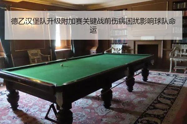 德乙汉堡队升级附加赛关键战前伤病困扰影响球队命运