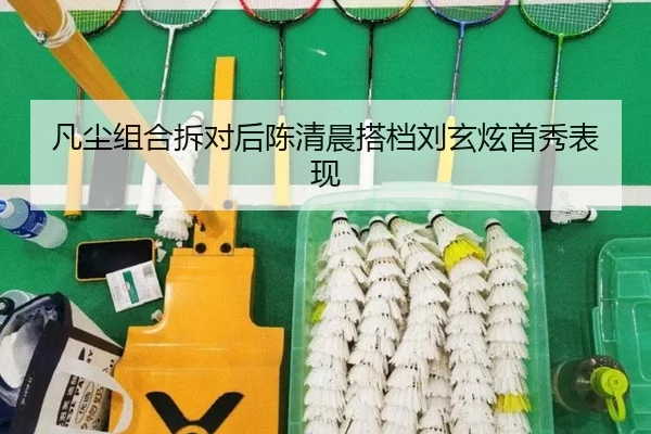 fan-chen-zu-he-chai-dui-hou-chen-qing-chen-da-dang-liu-xuan-xuan-shou-xiu-biao-xian-2-573.jpg