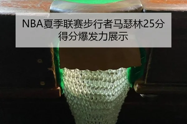 xia-ji-lian-sai-bu-xing-zhe-ma-se-lin-fen-de-fen-bao-fa-li-zhan-shi-3-391.jpg